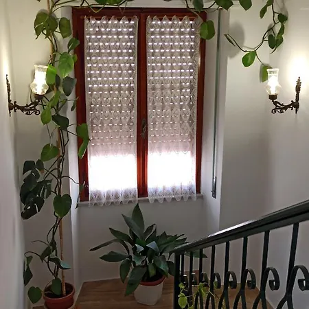 Casa Saba Lupino *