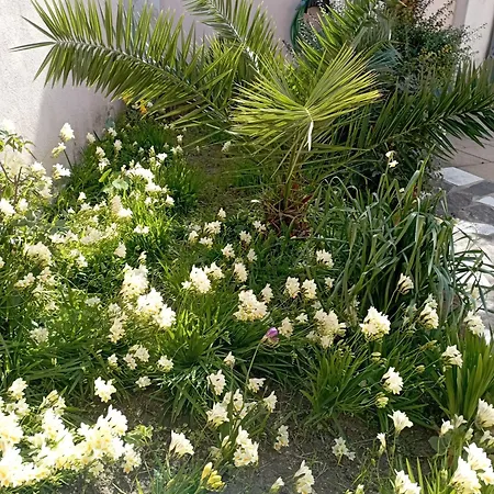 Casa Saba Lupino Orosei