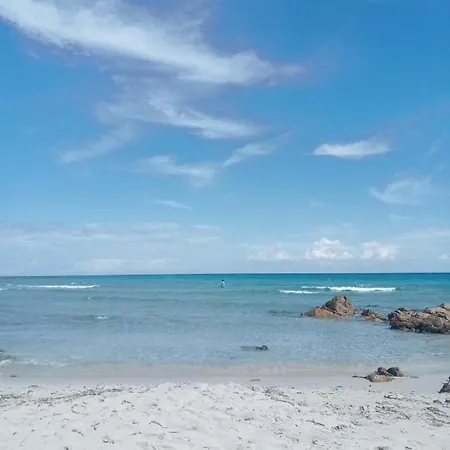 Saba - Lupino *