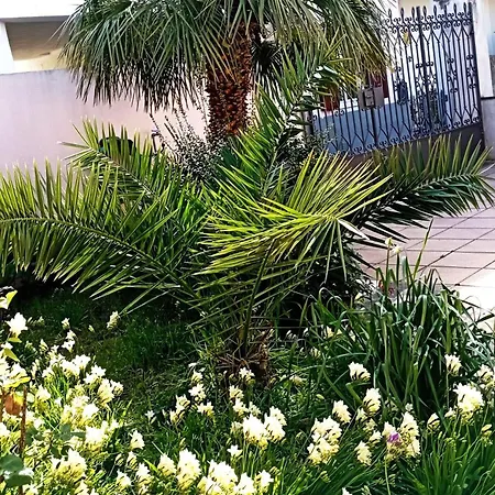 Casa Saba Lupino * אורוסיי